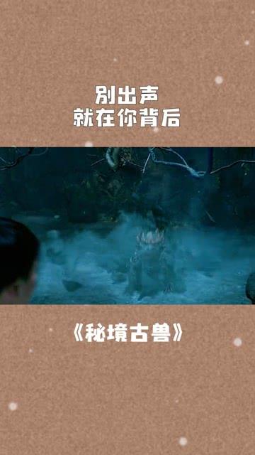 日常街拍