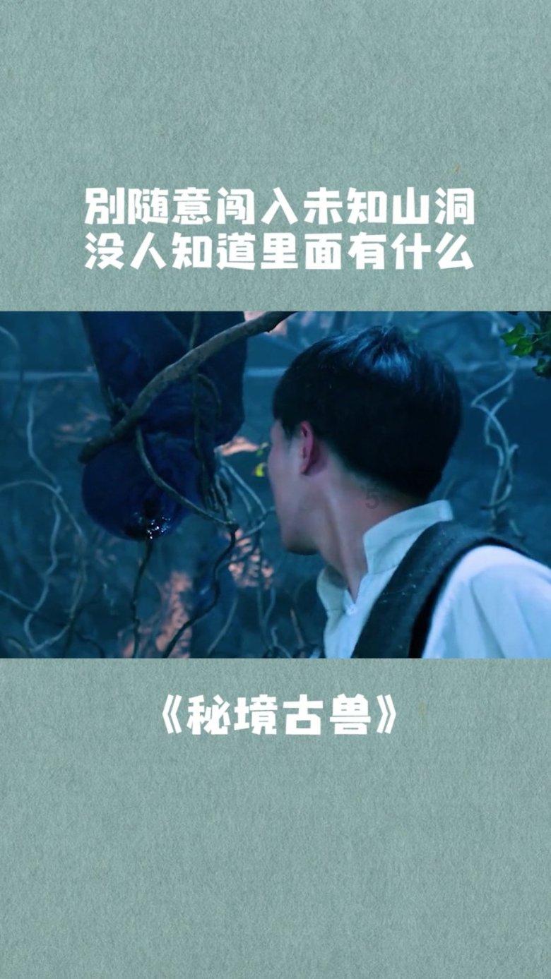男子为保护庄稼在玉米地放置电锚，捕杀2只狍2只野猪，被判非法狩猎罪管制1年
