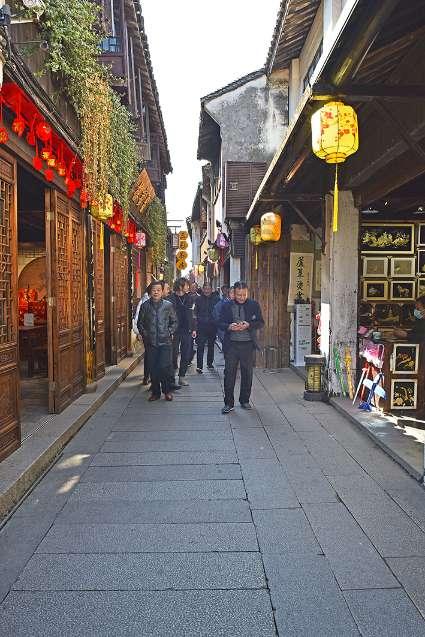 狐狸的旅程